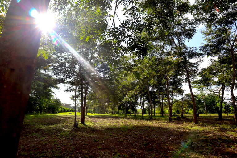 We are a global environmental non-profit