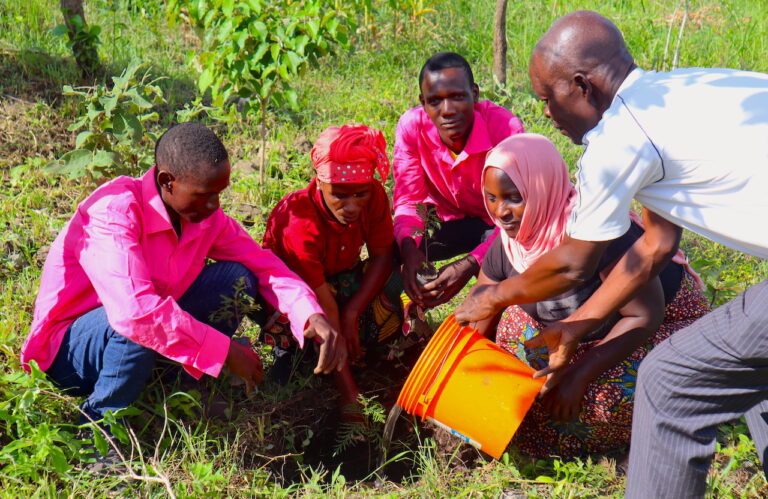 We are a plant a tree charity